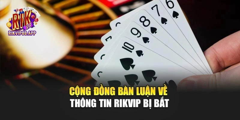 Cộng đồng bàn luận về thông tin Rikvip bị bắt Cộng đồng bàn luận về thông tin Rikvip bị bắt