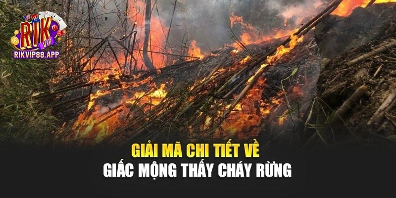 Giải mã chi tiết về giấc mộng thấy cháy rừng