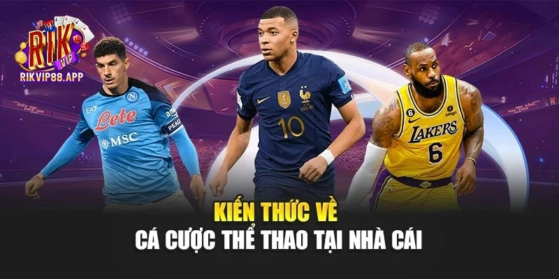 Kiến thức về cá cược thể thao tại nhà cái