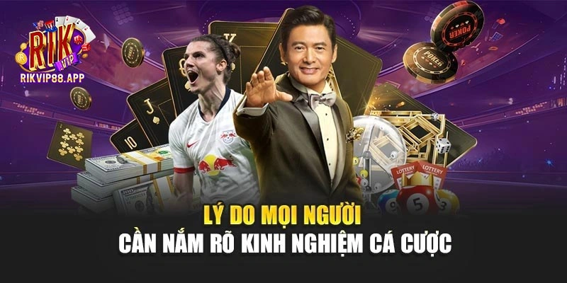 Lý do mọi người cần nắm rõ kinh nghiệm cá cược Lý do mọi người cần nắm rõ kinh nghiệm cá cược