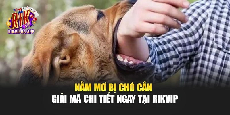 Nằm Mơ Bị Chó Cắn - Giải Mã Chi Tiết Ngay Tại Rikvip